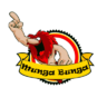 Munga Bunga